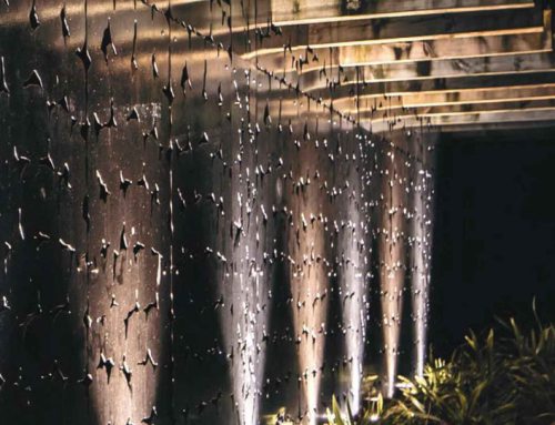 Landscape Lighting